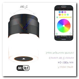 Hidden Camera Houseplant